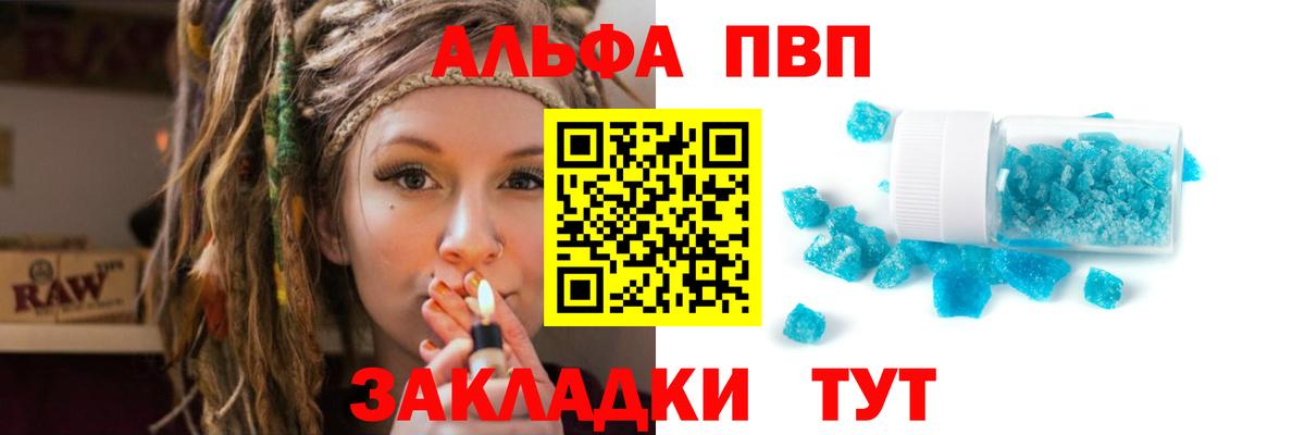 Альфа ПВП СК КРИС Ноябрьск