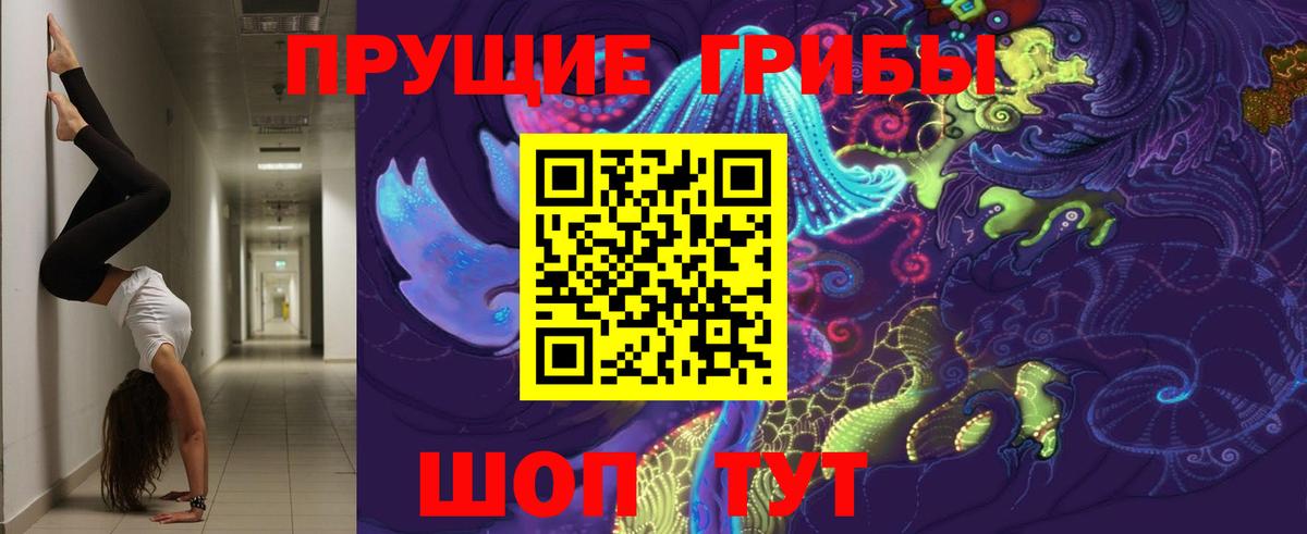 Ноябрьск  Псилоцибиновые грибы Cubensis  Псилоцибиновые грибы Cubensis  Вход с VPN 